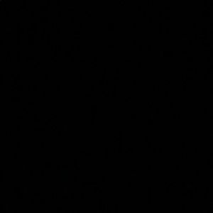 Meet your Posher, Corrine